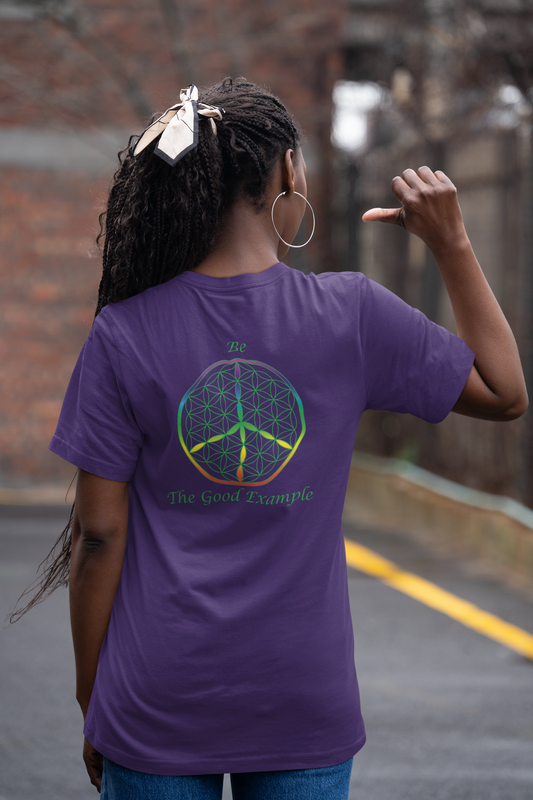 Be The Good Example Tee (back, green text)