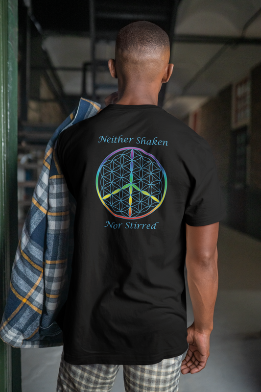Neither Shaken Nor Stirred Tee (back, sky blue text)